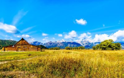 How to Find Free Land for Homesteading