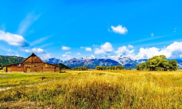 How to Find Free Land for Homesteading
