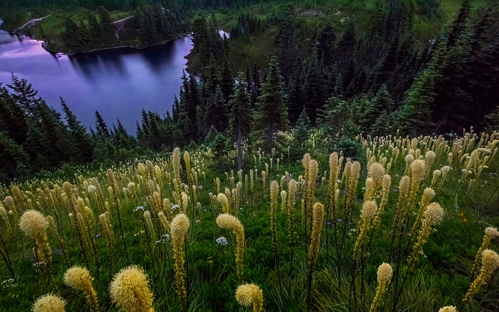 Mount Rainier National Park