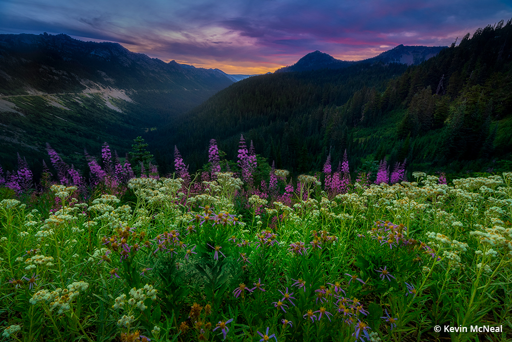 Photo taken at Chinook Pass above Tipsoo Lake