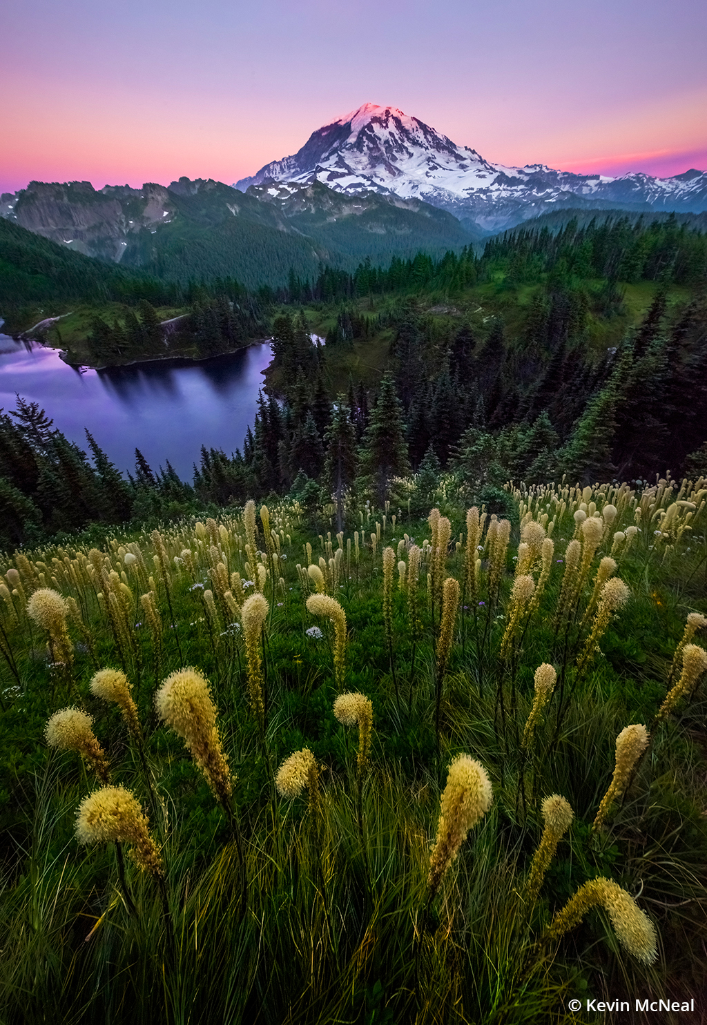 Photo of Mount Rainier from the Tolmie Peak Trail