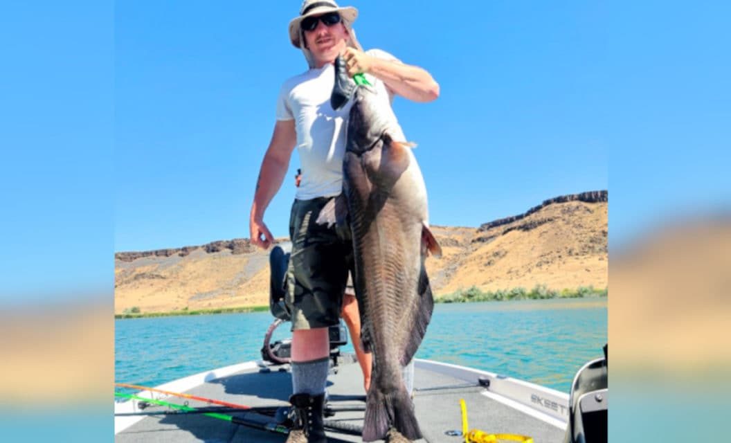 New Idaho Channel Catfish Record is the State’s Third of Year
