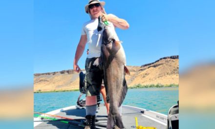 New Idaho Channel Catfish Record is the State’s Third of Year