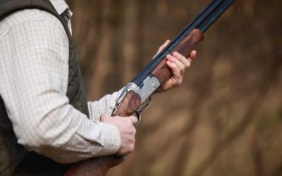 Offseason and Preparatory Wingshooting Tips