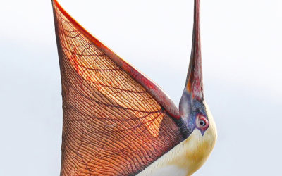 Photo Of The Day By Gretchen Kay Stuart