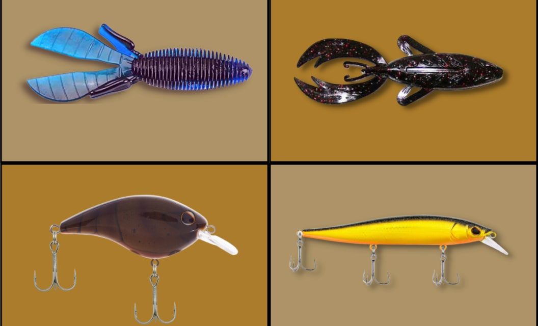 Pro-Endorsed Lures That Won Tourneys and Caught a Ton of Fish