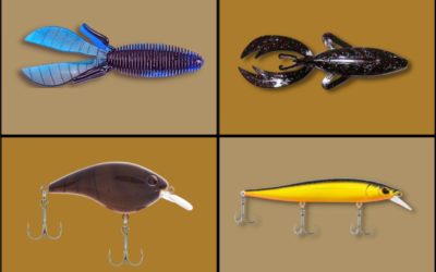 Pro-Endorsed Lures That Won Tourneys and Caught a Ton of Fish