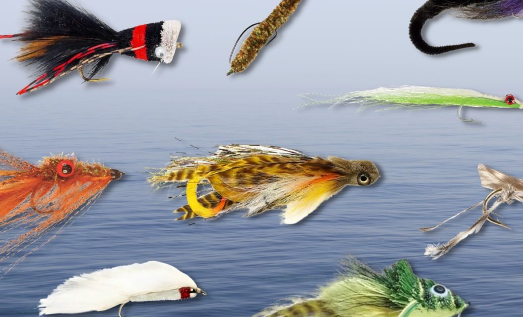 These 11 Flies Will Land You Monster Bass
