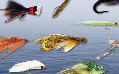 These 11 Flies Will Land You Monster Bass