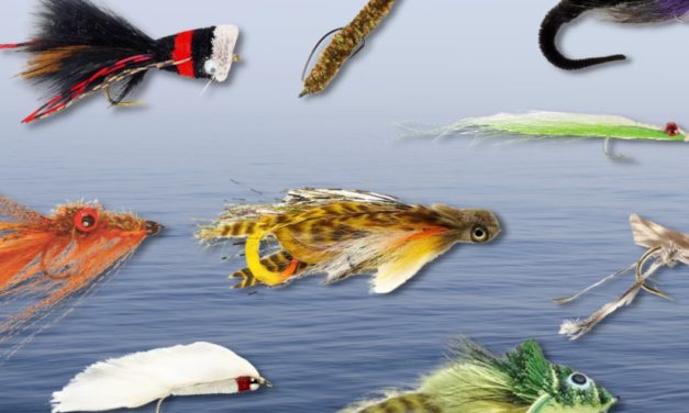 These 11 Flies Will Land You Monster Bass