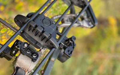 Thin vs. Thick Arrows: What’s the Difference in Bowhunting?