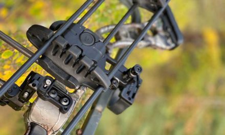 Thin vs. Thick Arrows: What’s the Difference in Bowhunting?