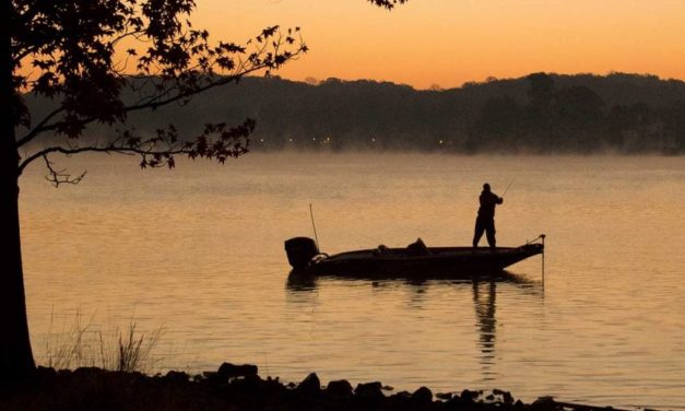Top 10 States for Bass Fishing