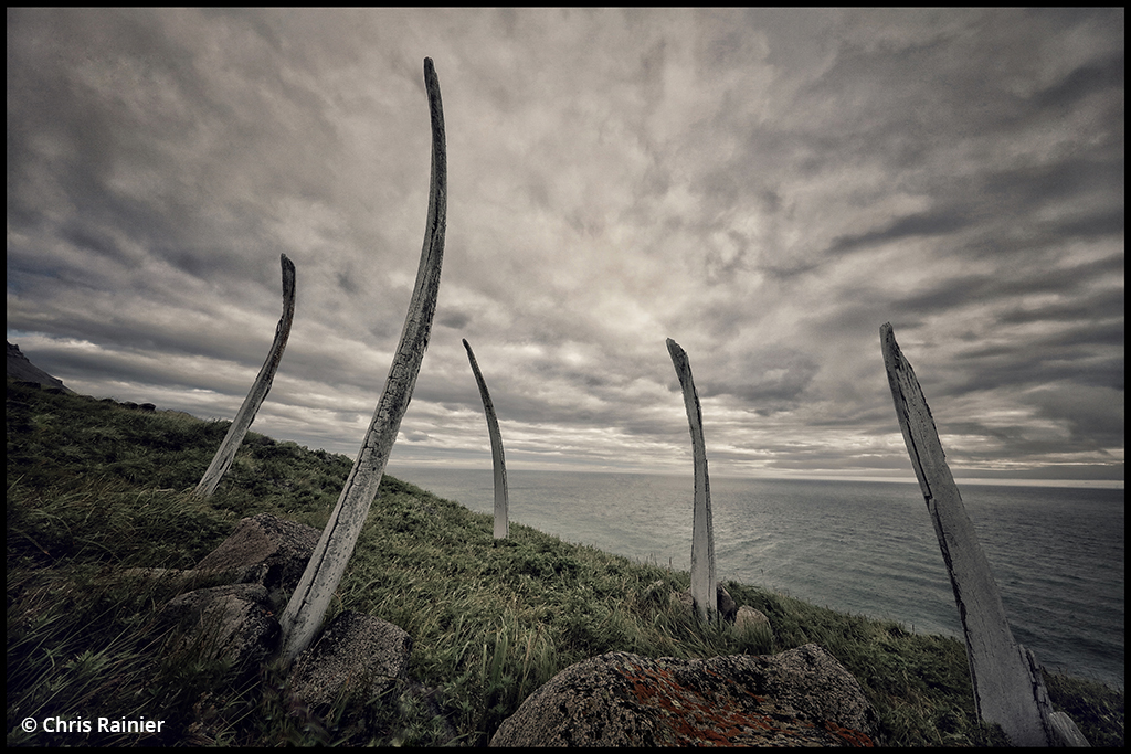 Photo of whale bones on the coast of Russia