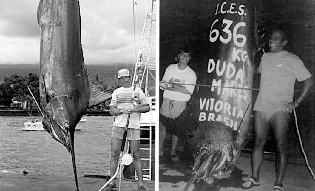 World Record Blue Marlin: Why There Are Two, and Why They’ll Never Be Topped
