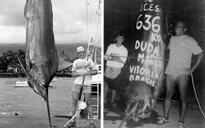 World Record Blue Marlin: Why There Are Two, and Why They’ll Never Be Topped