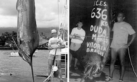 World Record Blue Marlin: Why There Are Two, and Why They’ll Never Be Topped