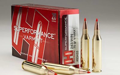 .243 Ammo: Our 10 Favorites for Varmints and Deer