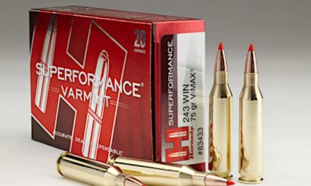 .243 Ammo: Our 10 Favorites for Varmints and Deer