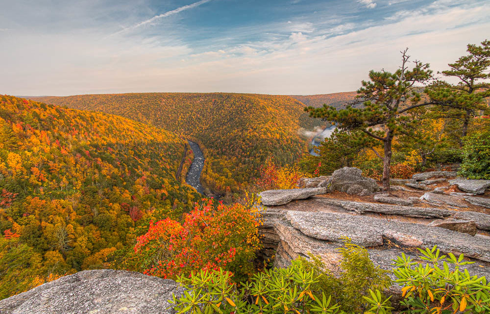 27 Images Of Fall Color