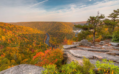 27 Images Of Fall Color