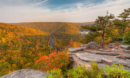 27 Images Of Fall Color