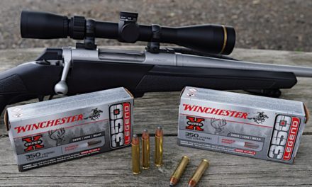350 Legend Ammo: Specs and Top Picks for Hunting in 2022