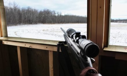 4 Great Deer Rifles for $500 or Less