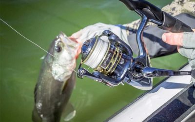 4 Rod and Reel Picks for Beginner Female Anglers