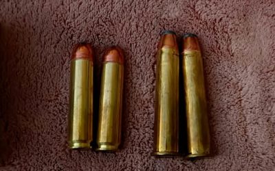 450 Bushmaster vs 45-70 Government: The Key Differences
