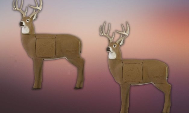 5 of the Best 3D Archery Targets on the Market Today