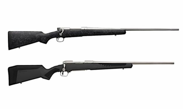 9 Best .300 Winchester Magnum Rifles Big-Game Hunting