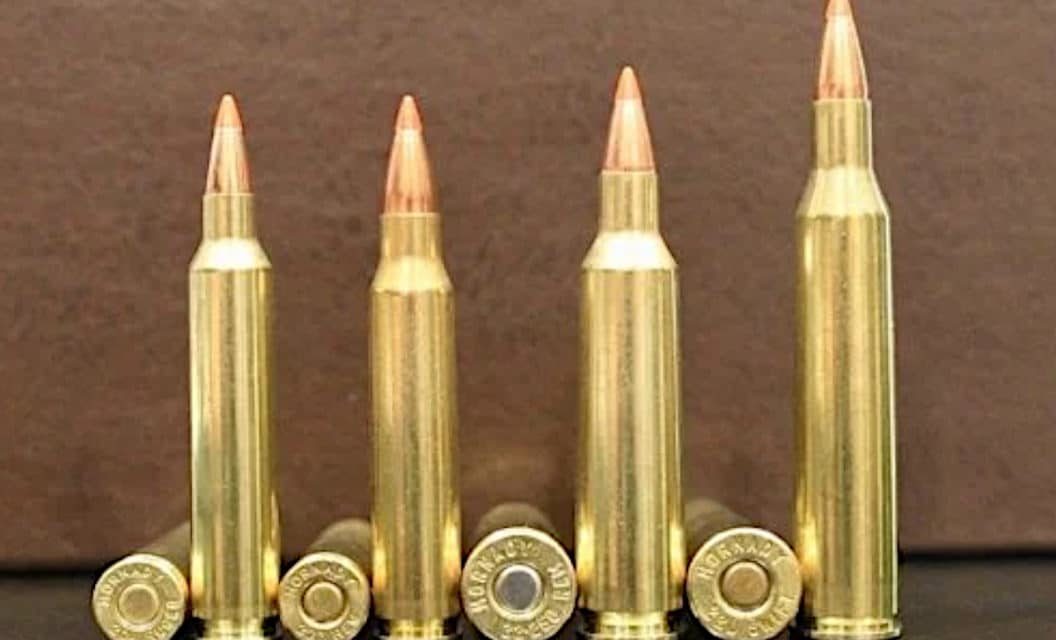 9 Fastest Bullet Velocity Rifle Cartridges on the Market Today