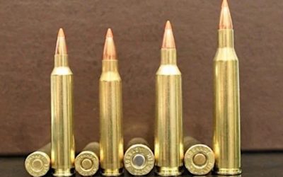 9 Fastest Bullet Velocity Rifle Cartridges on the Market Today