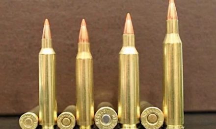 9 Fastest Bullet Velocity Rifle Cartridges on the Market Today