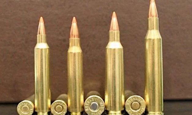 9 Fastest Bullet Velocity Rifle Cartridges on the Market Today