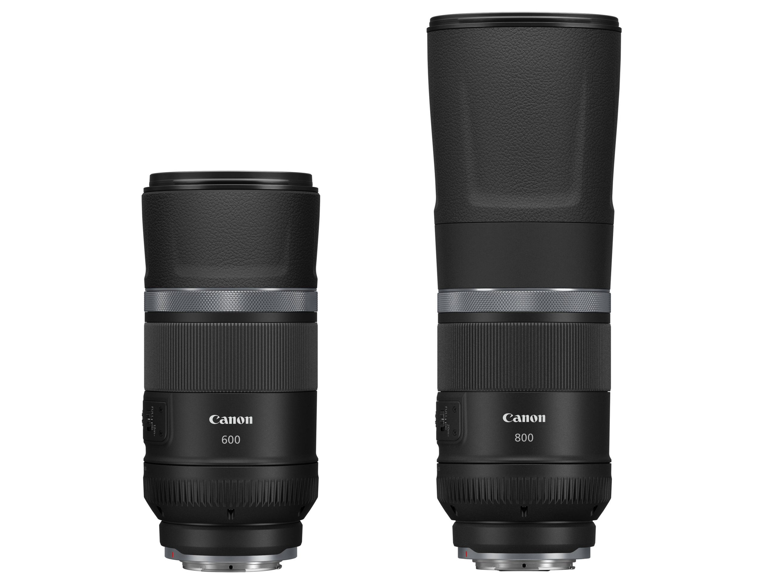 Photo of Canon RF600mm F11 IS STM and RF800mm F11 IS STM lenses