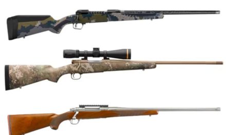 Best .30-06 Springfield Hunting Rifles, Chosen By a Seasoned Hunter