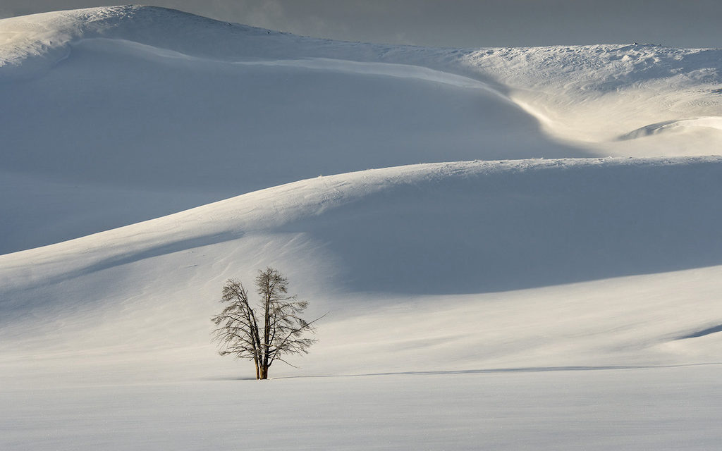 Cast A Shadow In Your Photography