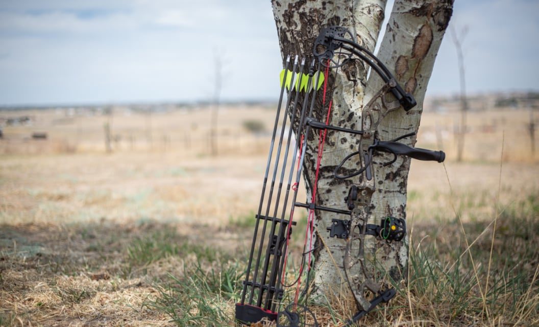 Coolest 3D Archery Challenges Around the U.S.