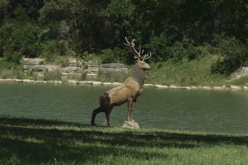 3d archery courses