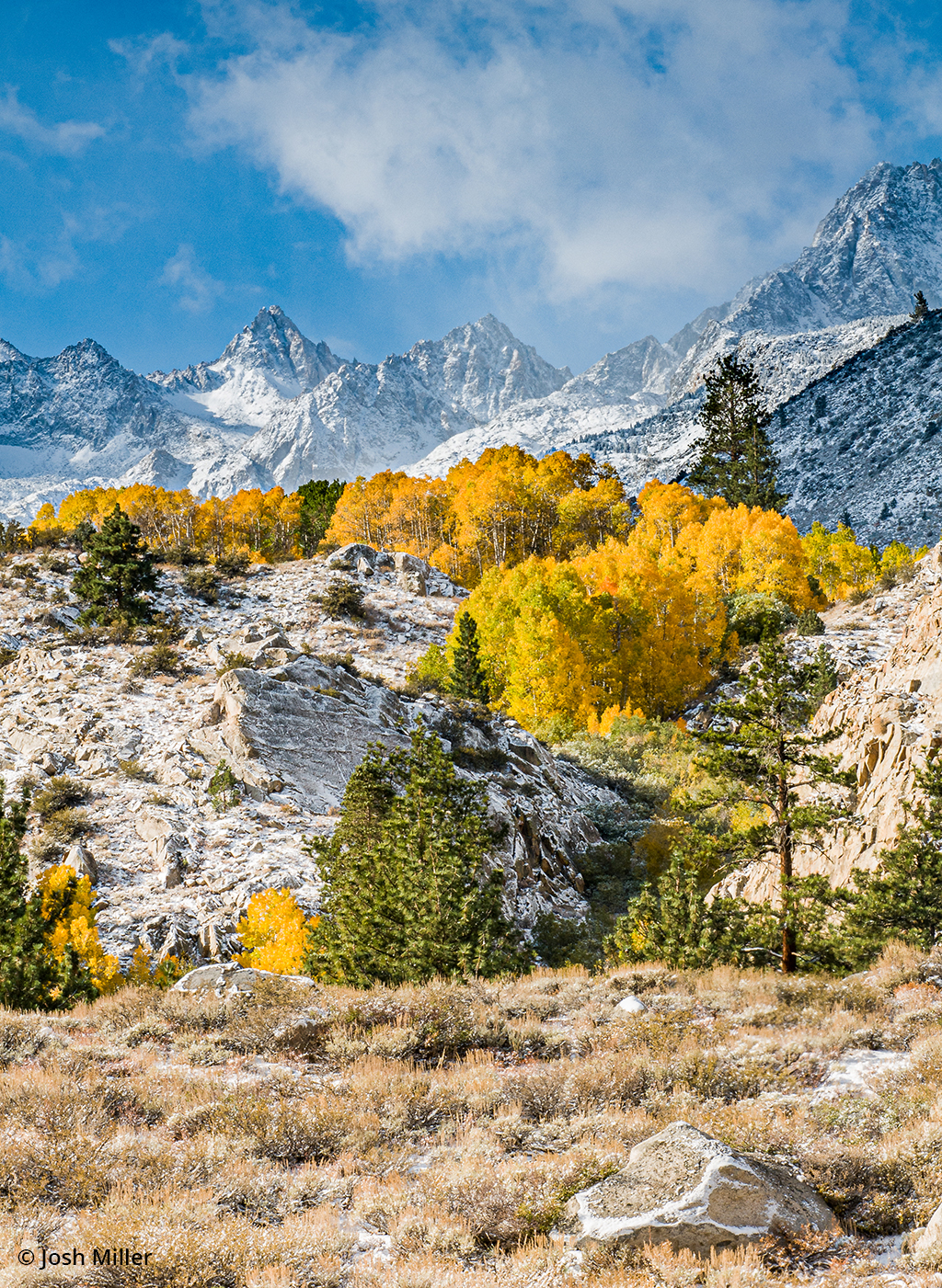 Photo of fall colors taken in sunny conditions