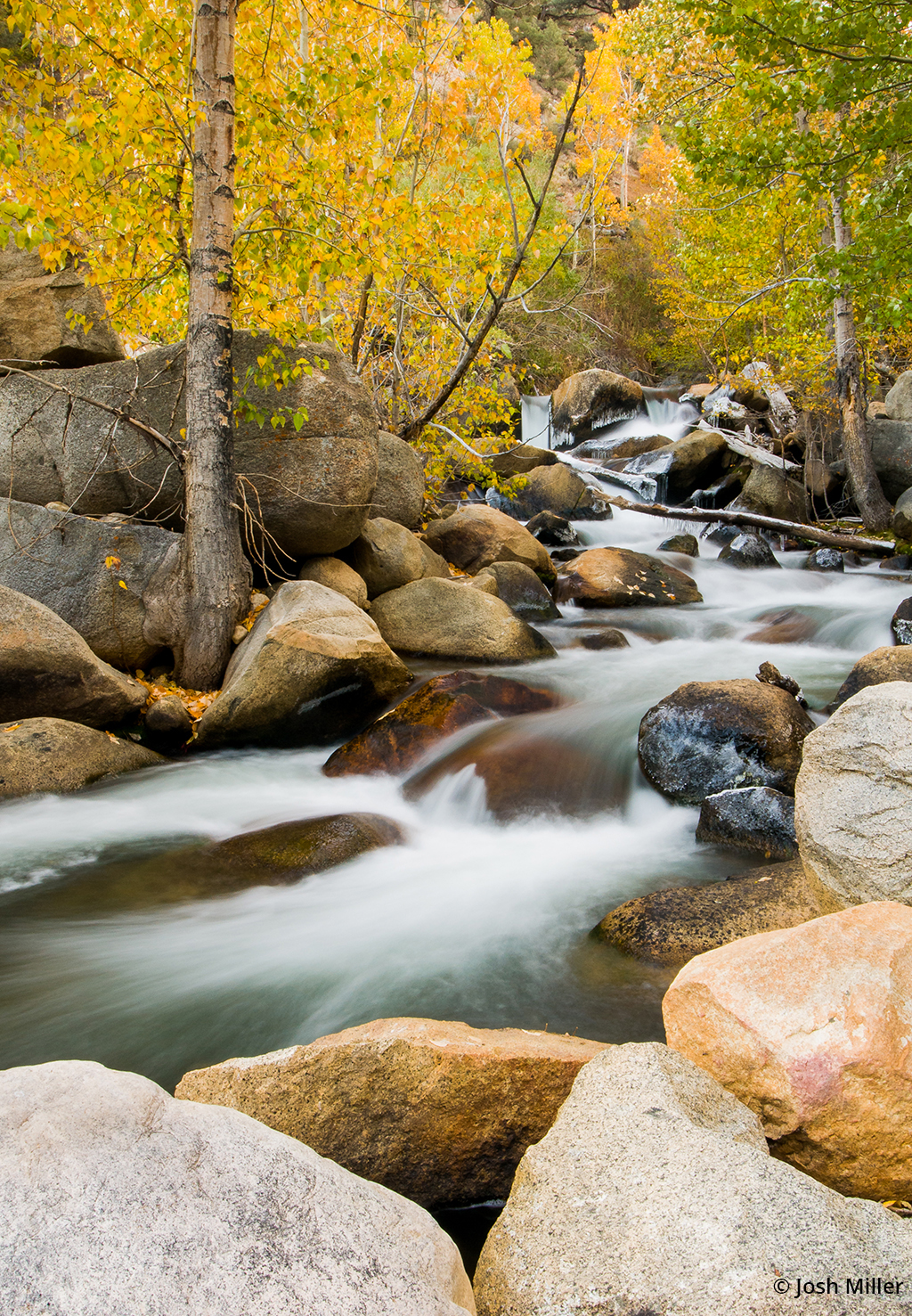 Image of fall foliage and a stream taken with a circular polarizer