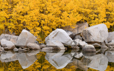 Exploring Fall Color