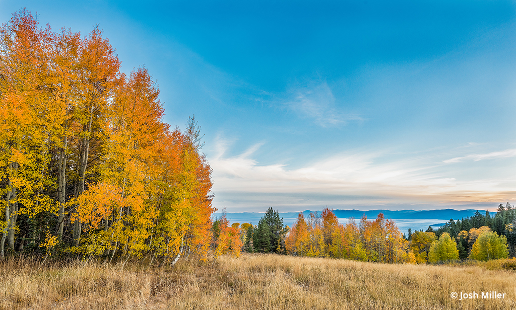 Photo of fall foliage near Lake Tahoe, California