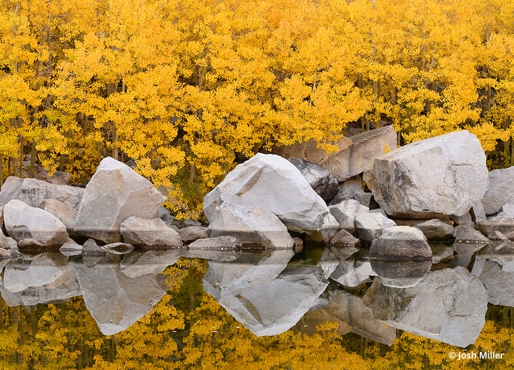 Photo of fall foliage reflected in a pond.