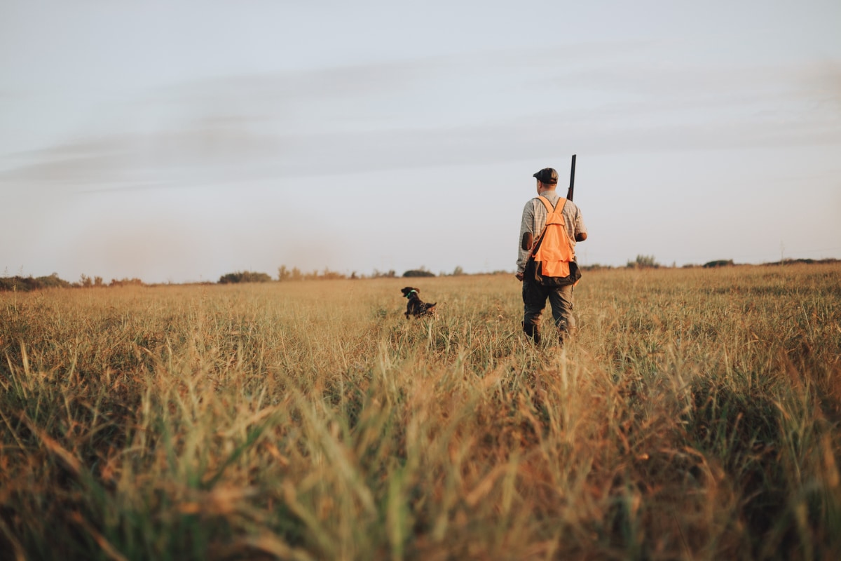 Indiana Hunting License: What You Need and How Much It Costs - Outdoor ...