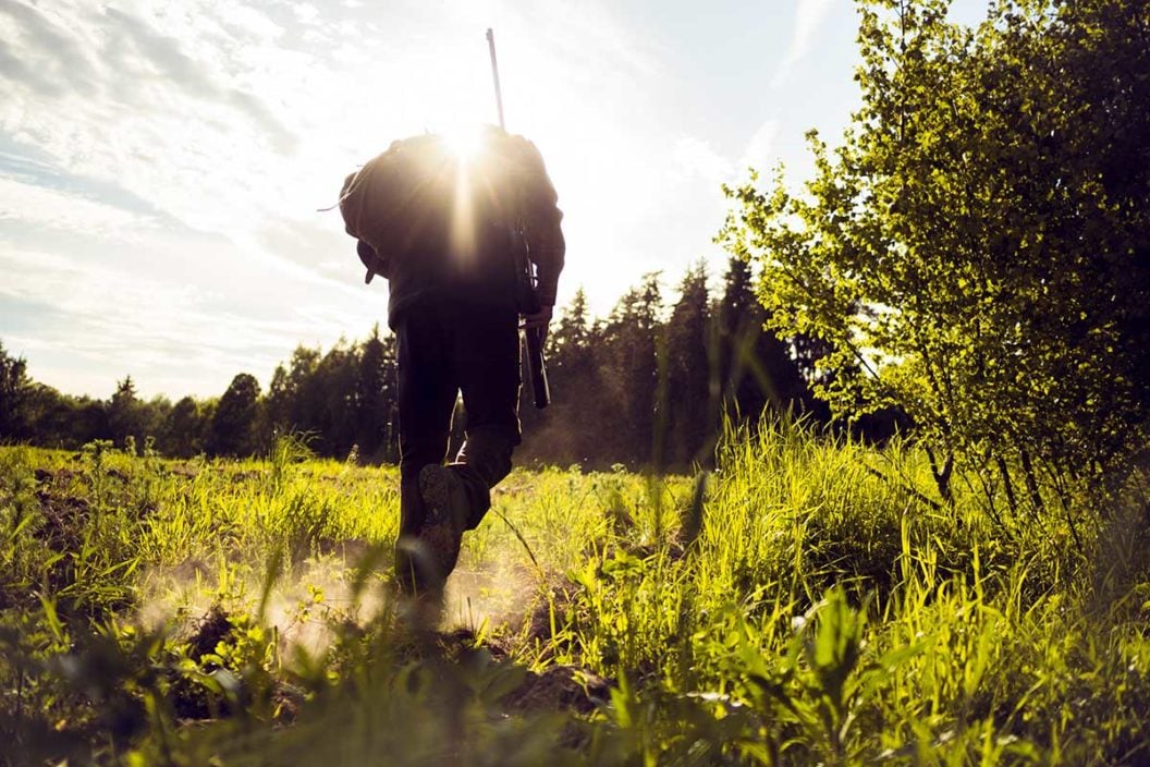 A hunter carries a rifle and walks in a field.