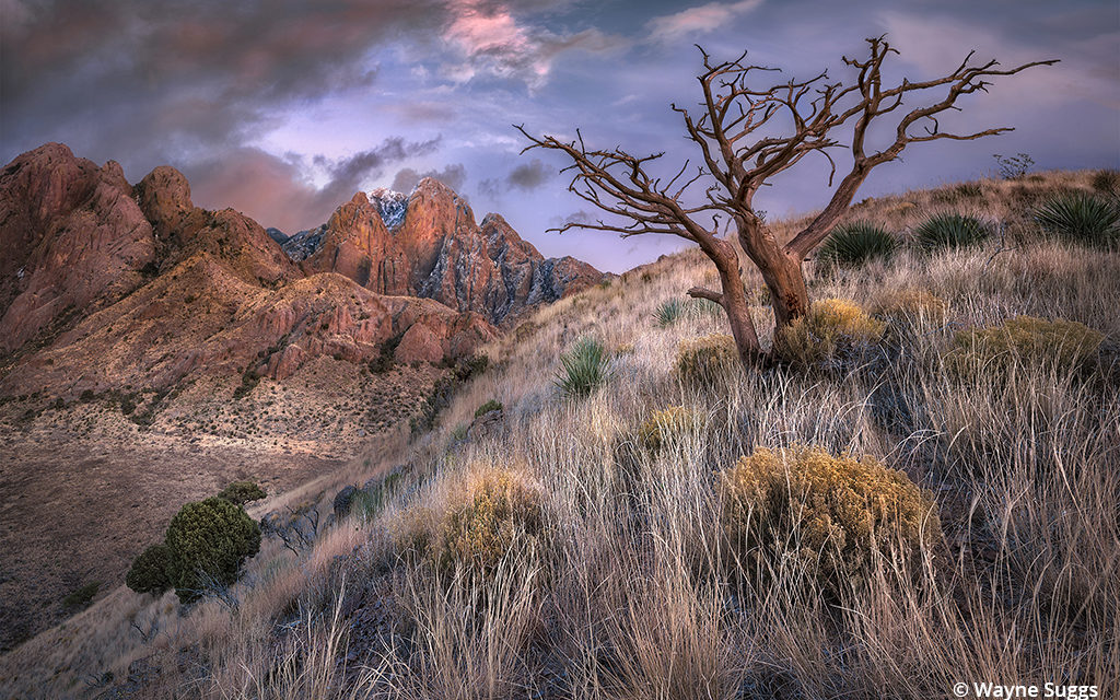 Organ Mountains-Desert Peaks National Monument