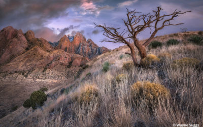 Organ Mountains-Desert Peaks National Monument